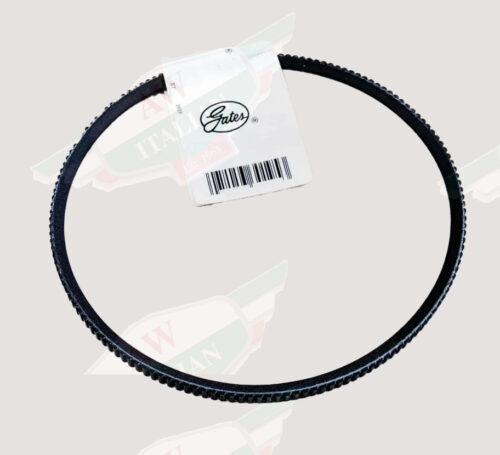 black belt on white back ground