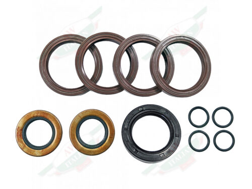 AW1322000 cam seal kit ferrari 308 gtbi gtsi