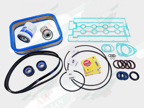 AW2320000 service kit 308 carbureted green gaskets belts filters