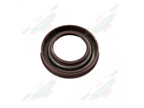 brown ring on white background