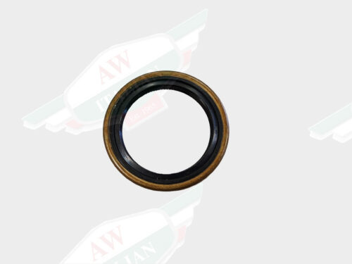 black and gold ring on white background