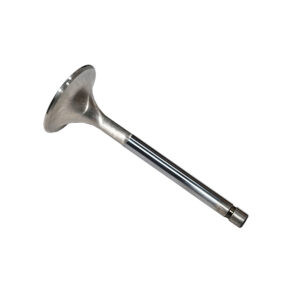 Steel engine valve laying on side with white background