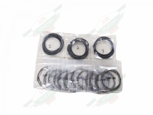 black rings in clear bags on white background