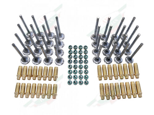 ferrari 131198KIT valve kit brass guides green seals on white background