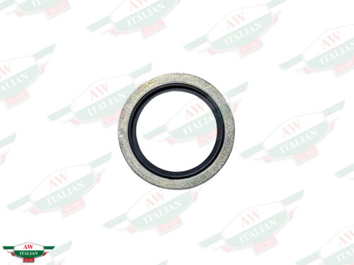 ferrari 144487 metal circle washer with black inner ring