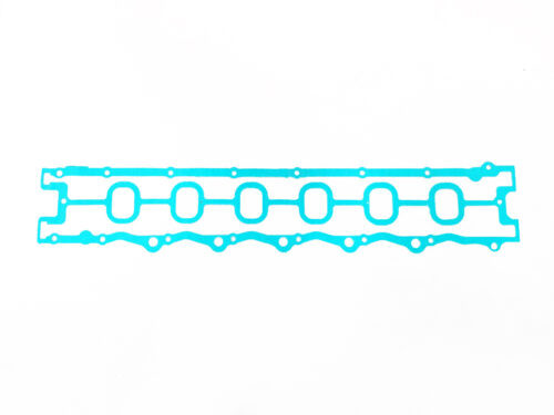 long green gasket with holes in center