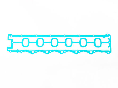 long green gasket with holes in center