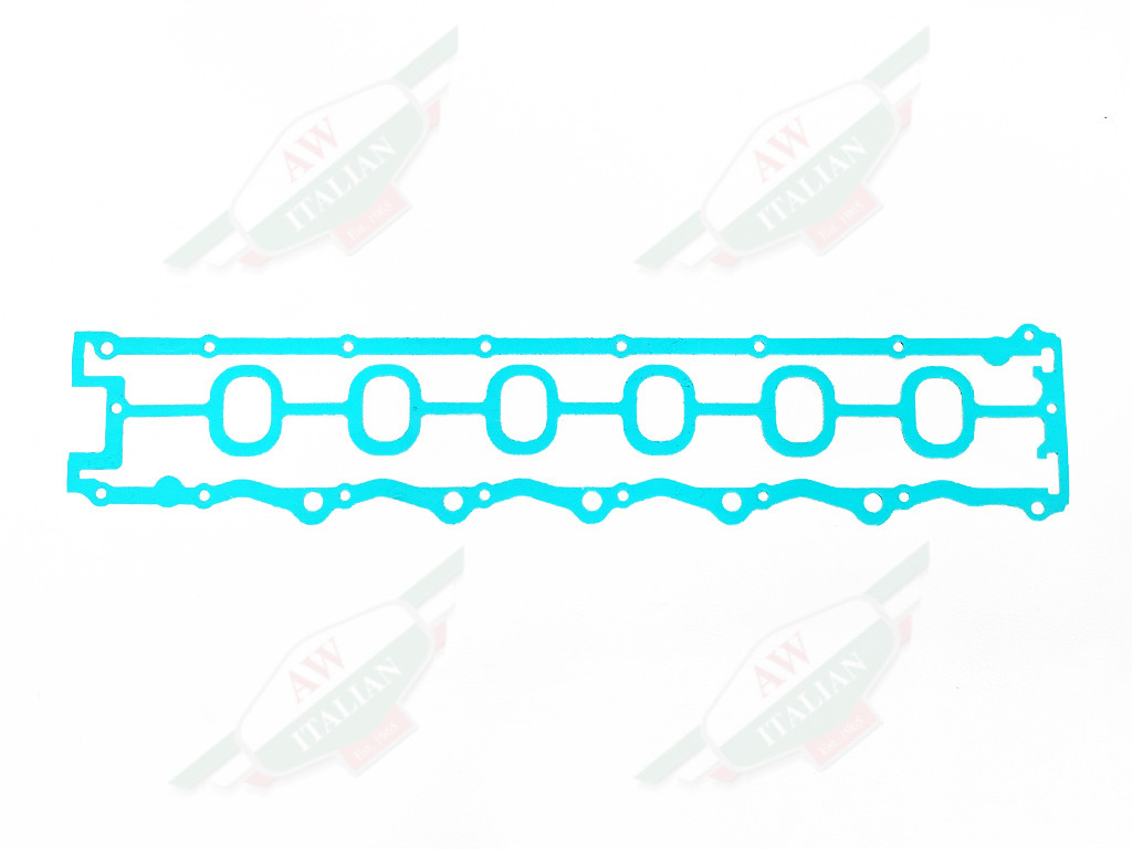 long green gasket with holes in center