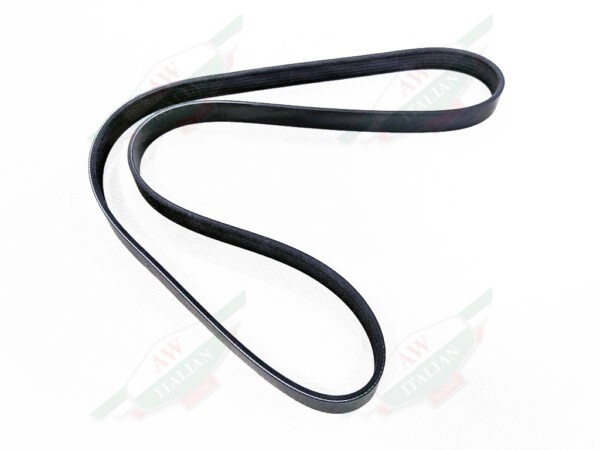 Maserati A/C  Drive Belt - 239617
