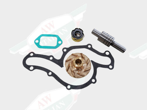 black and greaan gasket with gold and silver bearing on white background