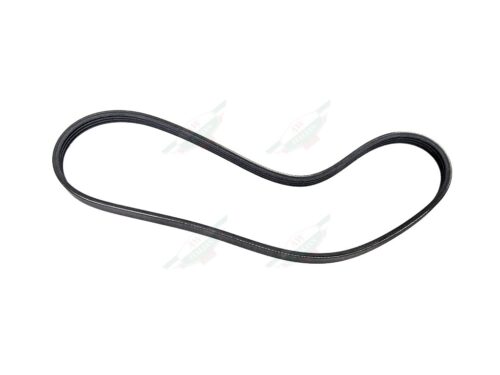 maserati 214271 black rubber grooved v belt