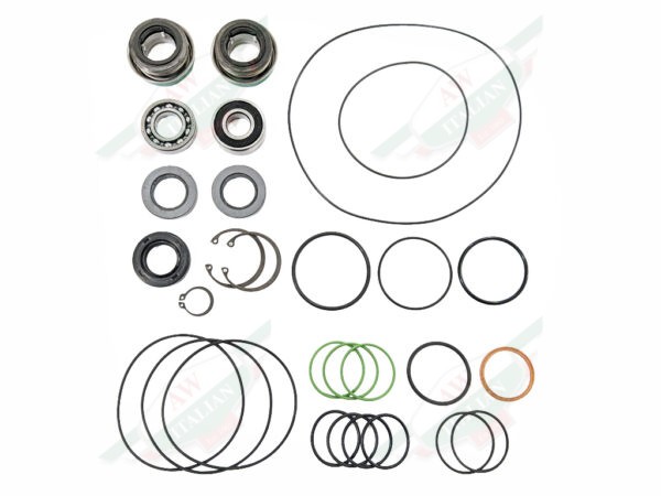 ferrari 430 water pump oil pump rebuild kit o-rings seals