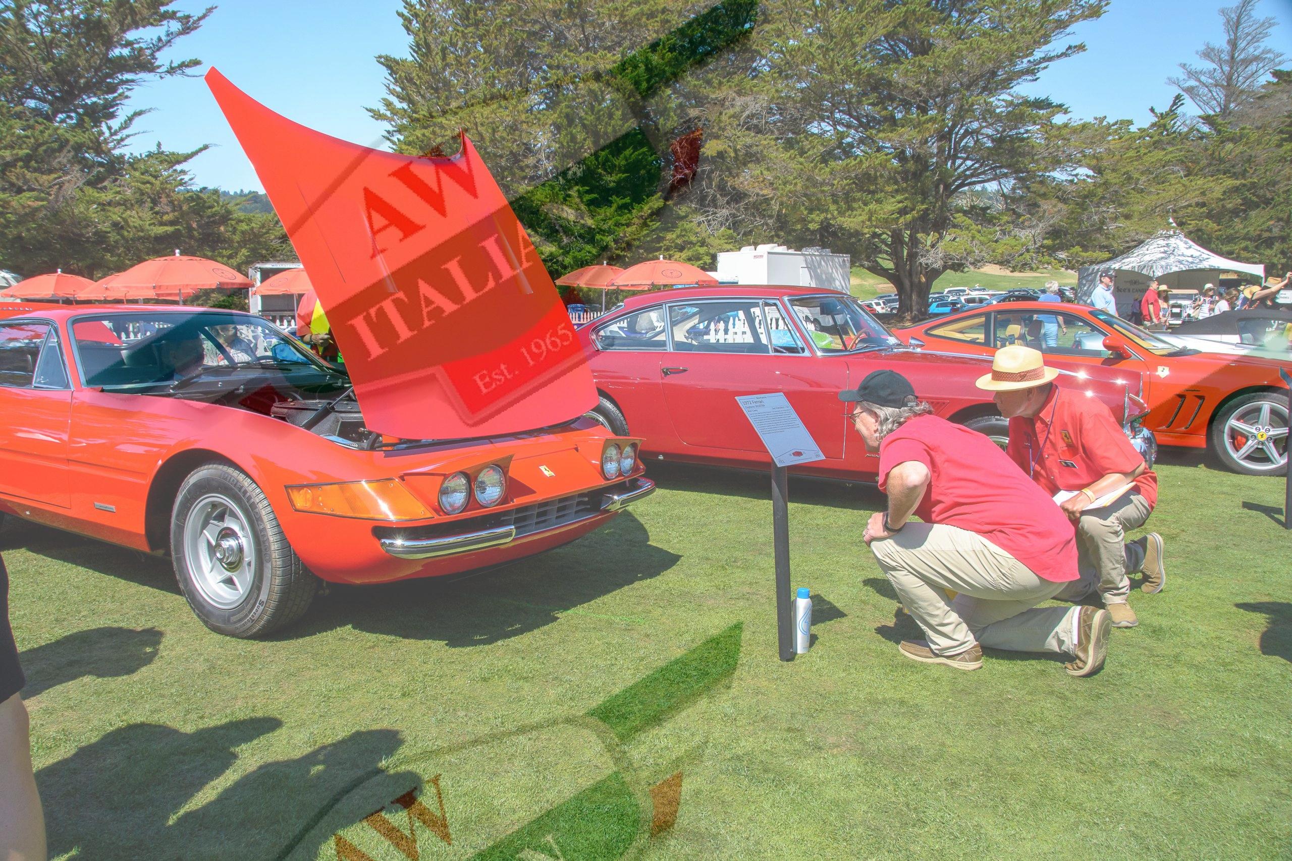 HC21 field 134 HC21 field 134