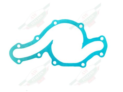 Green Ferrari 246 Water Pump Gasket with white background