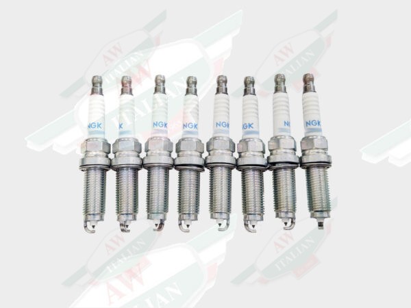 ferrari 335841 ngk spark plugs