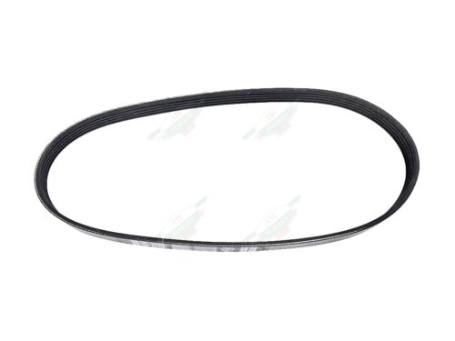 ferrari 199824 drive belt black ribbed alternator