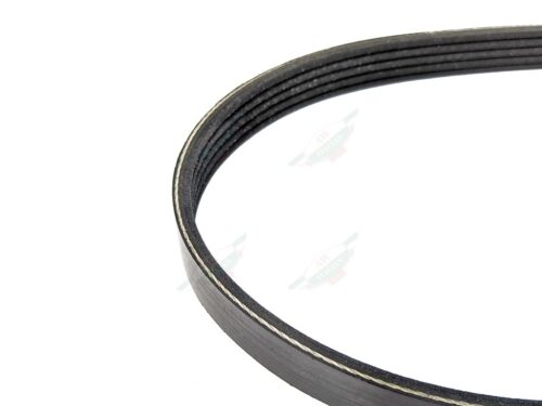 ferrari 199824 drive belt black ribbed alternator