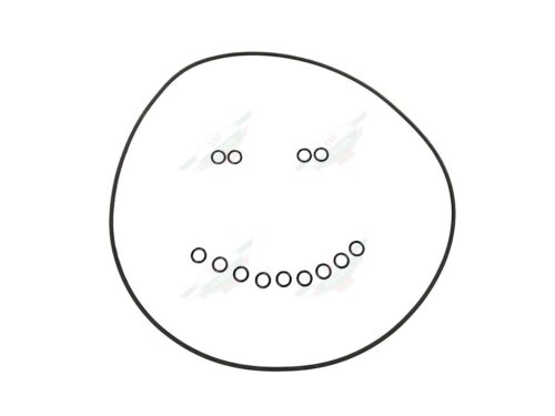 ferrari 146572FOK flywheel black rubber orings