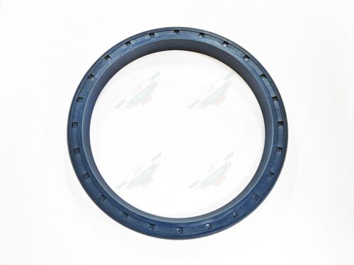 maserati 311420104 oil seal round blue