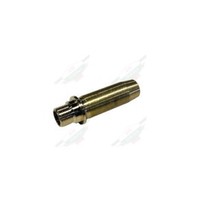 gold intake valve on white background