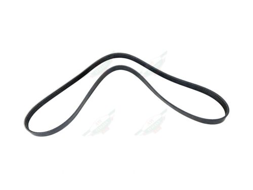ferrari 199836 accessory drive belt black rubber grooved