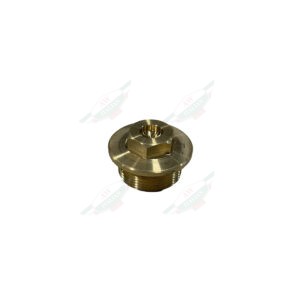 Gold screw on top on white background