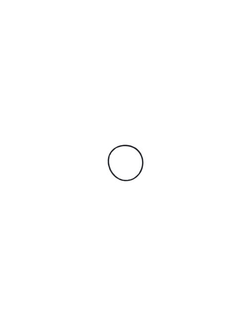 Black rubber ring on white background
