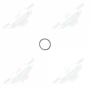 Green rubber ring on white background