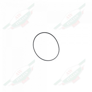 Black rubber ring on white background