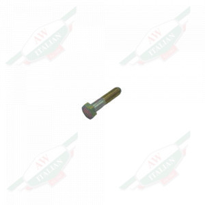 Silver metal bolt on white background
