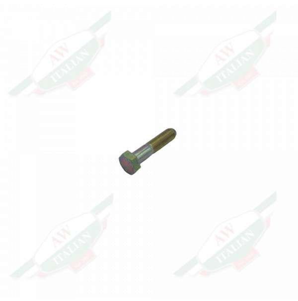 Silver metal bolt on white background
