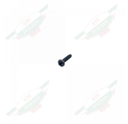 Small black metal threaded bolt on white background