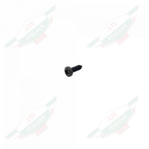 Small black metal threaded bolt on white background