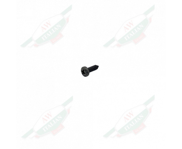 Small black metal threaded bolt on white background