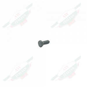 Silver metal screw on white background