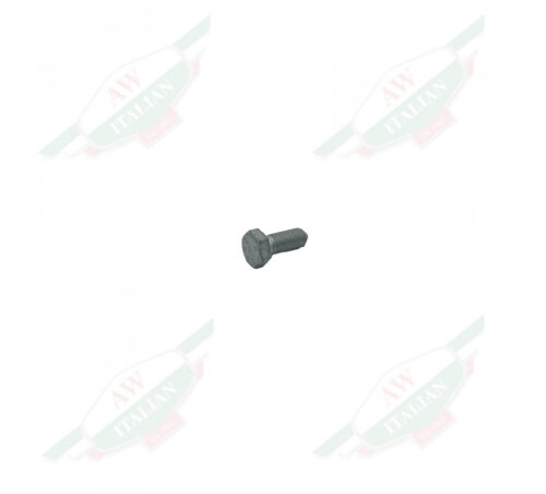 Silver metal screw on white background