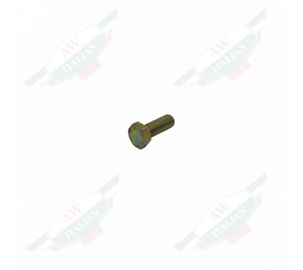 Small silver metal threaded bolt on white background