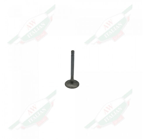 Thin silver metal rod with circular platform at the base on white background