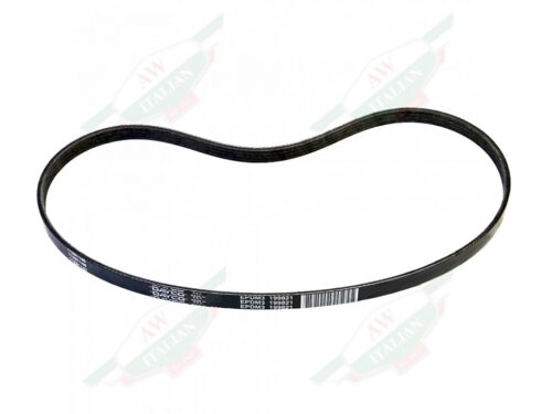 black oval drive belt on white background