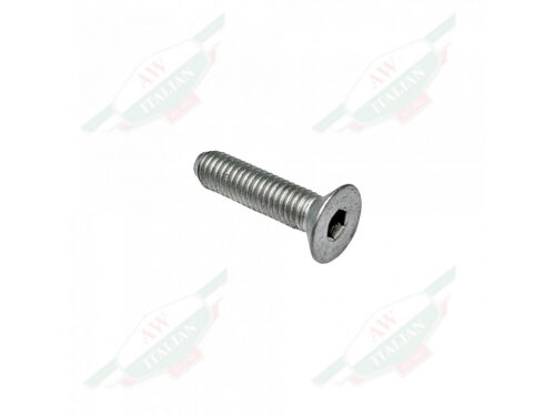 ferrari 83494700 grey threaded screw countersunk head