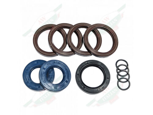 AW1320000 ferrari seal kit brown blue black circles