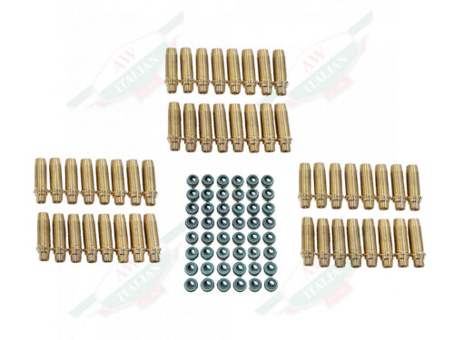 ferrari brass valve guides and green seals