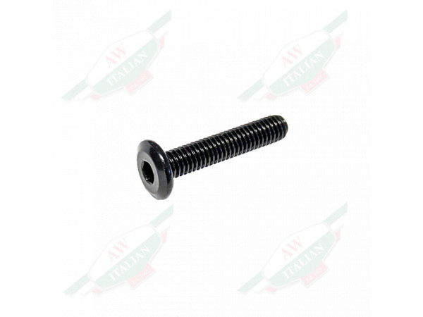 ferrari 62941000 black threaded screw