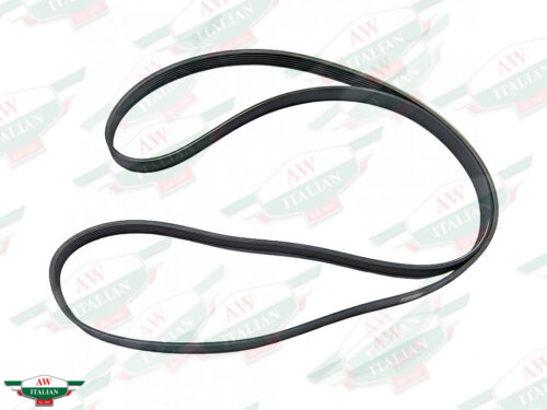 maserati 771134 black ribbed belt