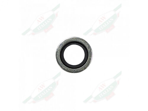 silver and black circle drain plug washer