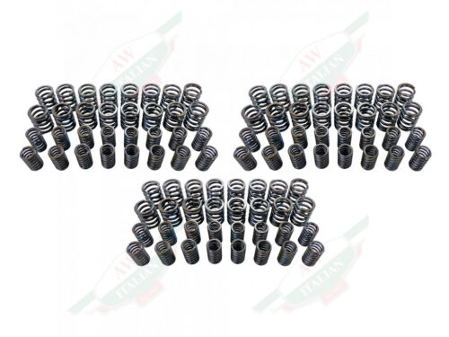 valve spring set
