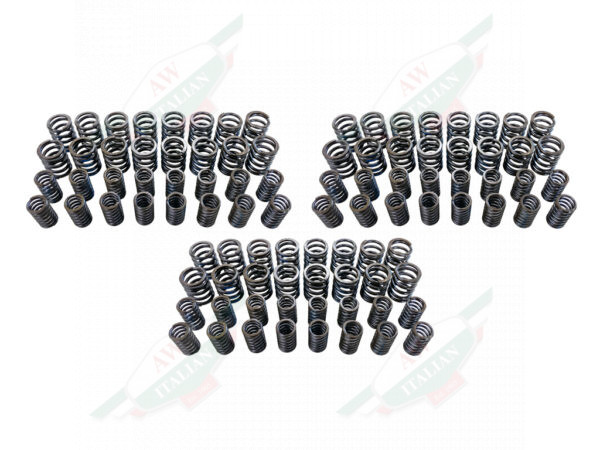 valve spring set
