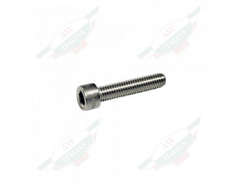 threaded silver allen head screw