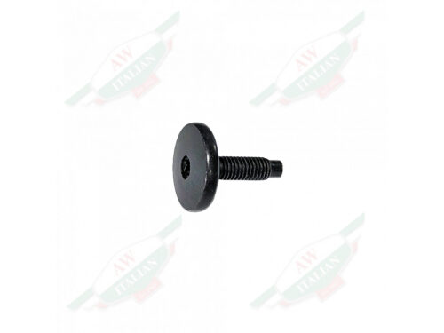 black threaded screw