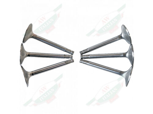 6 engine valves trumpet shape